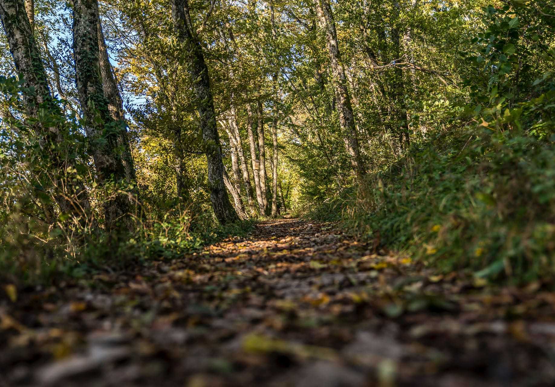 Project Detail image