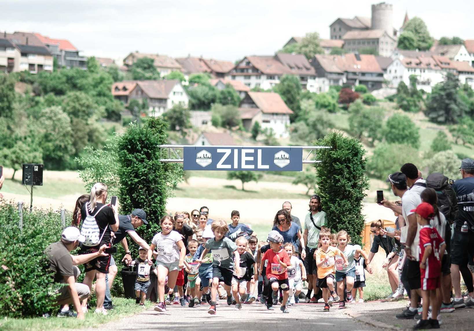 Project Detail image