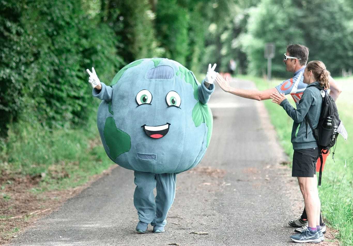 Project Detail image