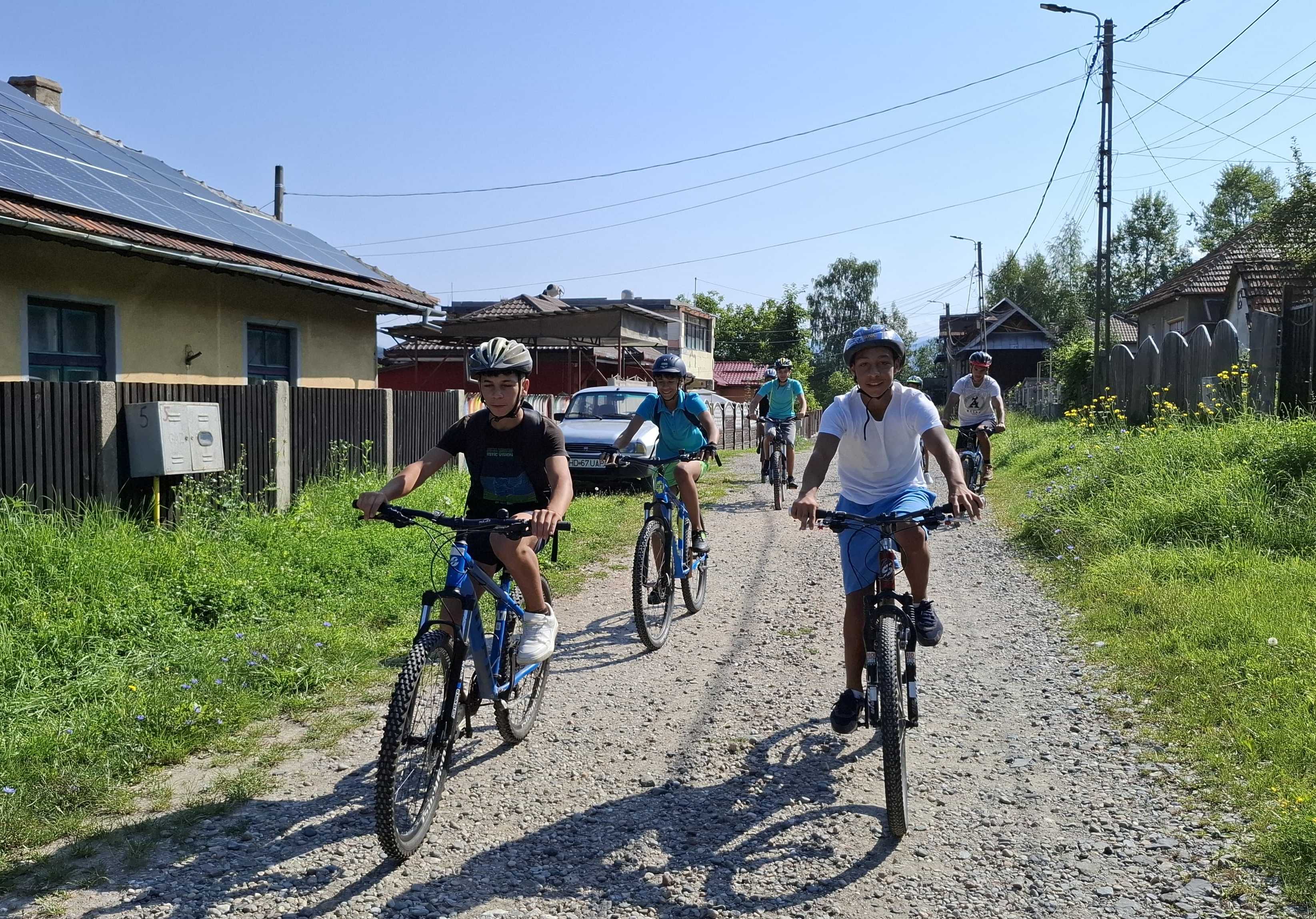 Project Detail image