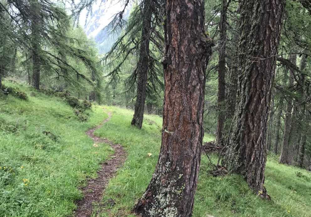 Project Detail image