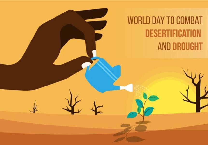 Project Detail image