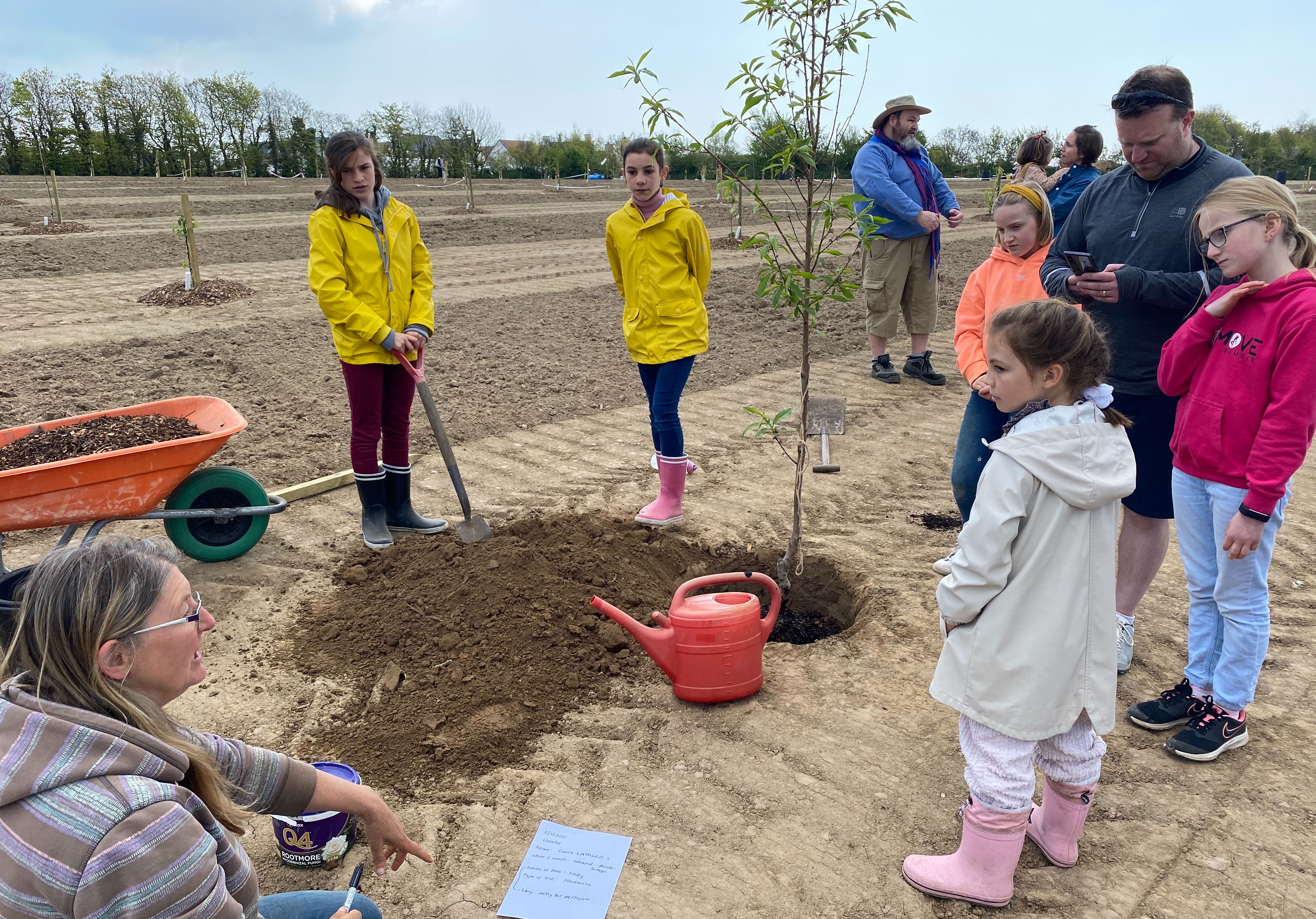 Project Detail image