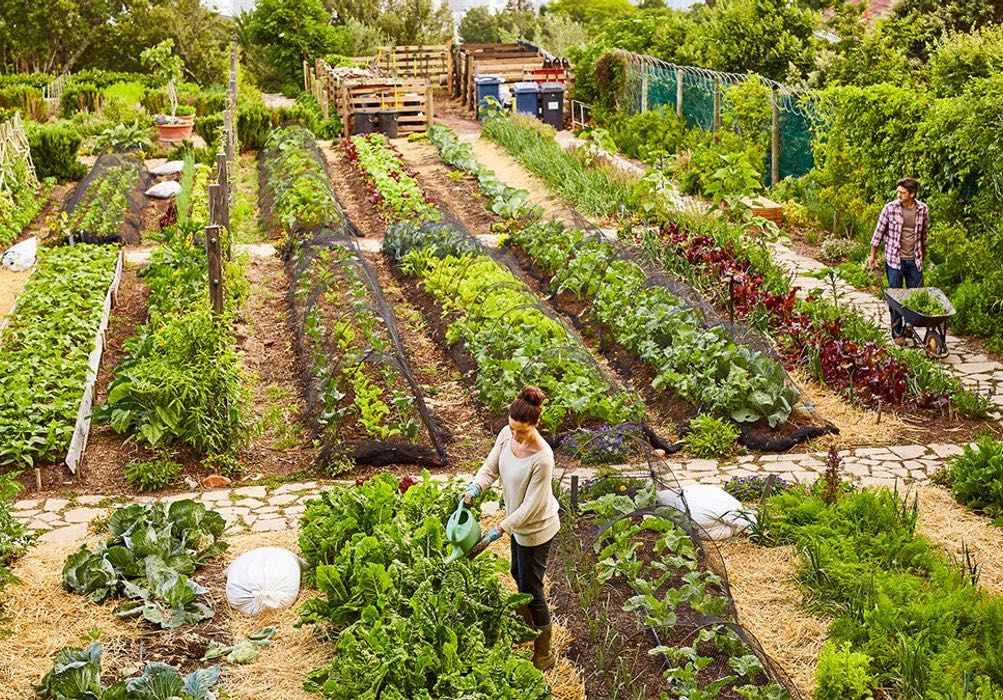 Project Detail image