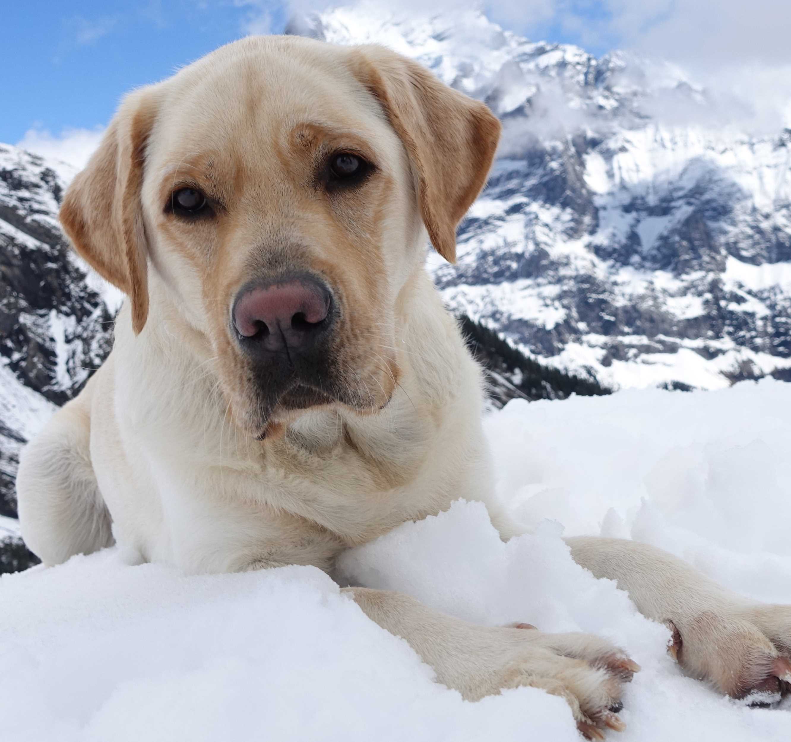 Project Detail image