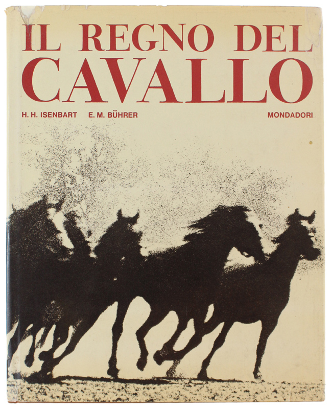fotografie dell'oggetto