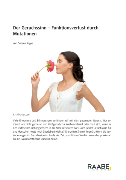 Produktbild 1 (png-Format)