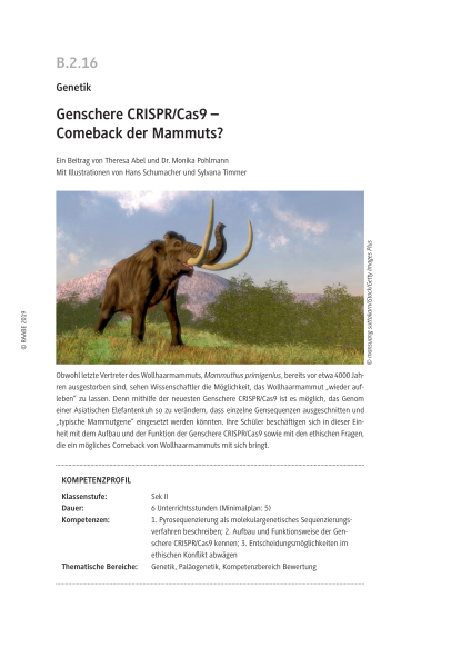 Produktbild 1 (png-Format)