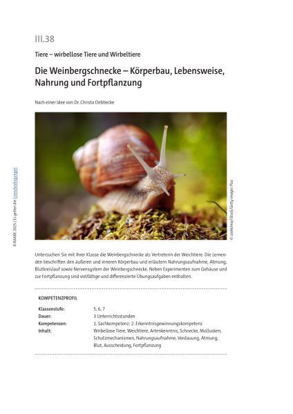 Produktbild 1 (png-Format)