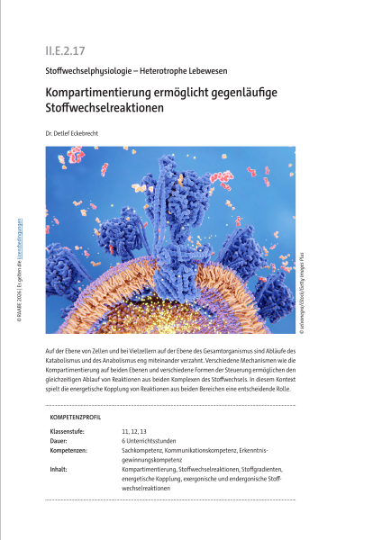 Produktbild 1 (png-Format)