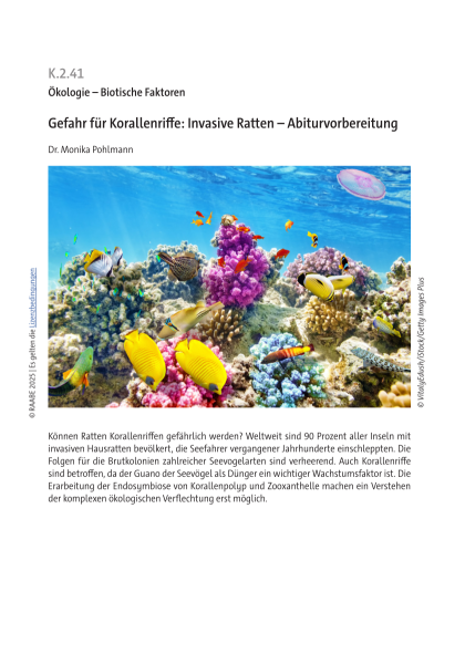 Produktbild 1 (png-Format)