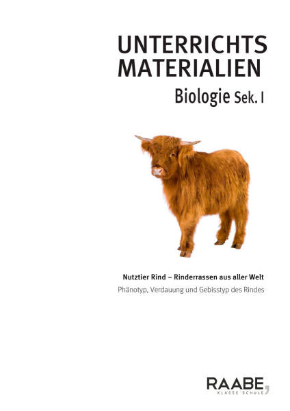 Produktbild 1 (png-Format)