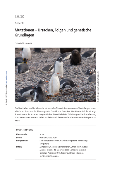 Produktbild 1 (png-Format)