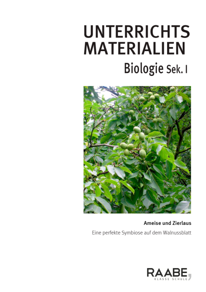Produktbild 1 (png-Format)