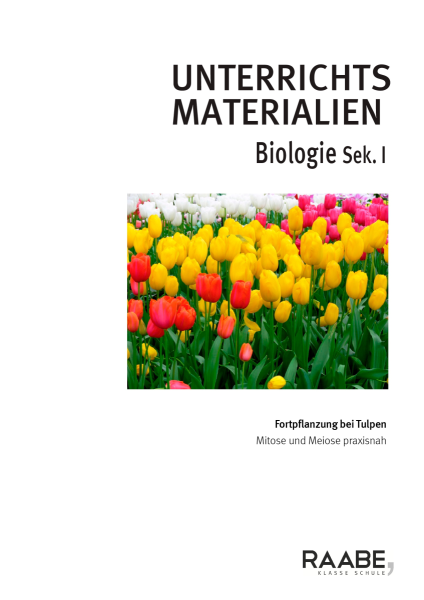 Produktbild 1 (png-Format)