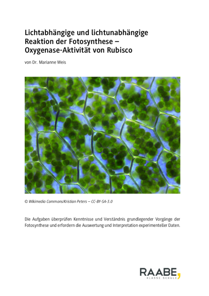 Produktbild 1 (png-Format)