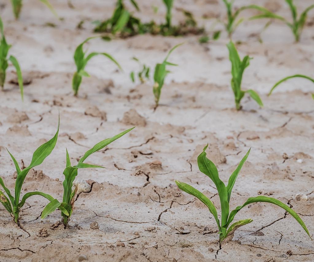 Landwirtschaftliche Sprechertagung