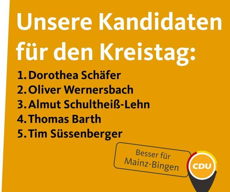 Unsere Kandidaten für Mainz-Bingen