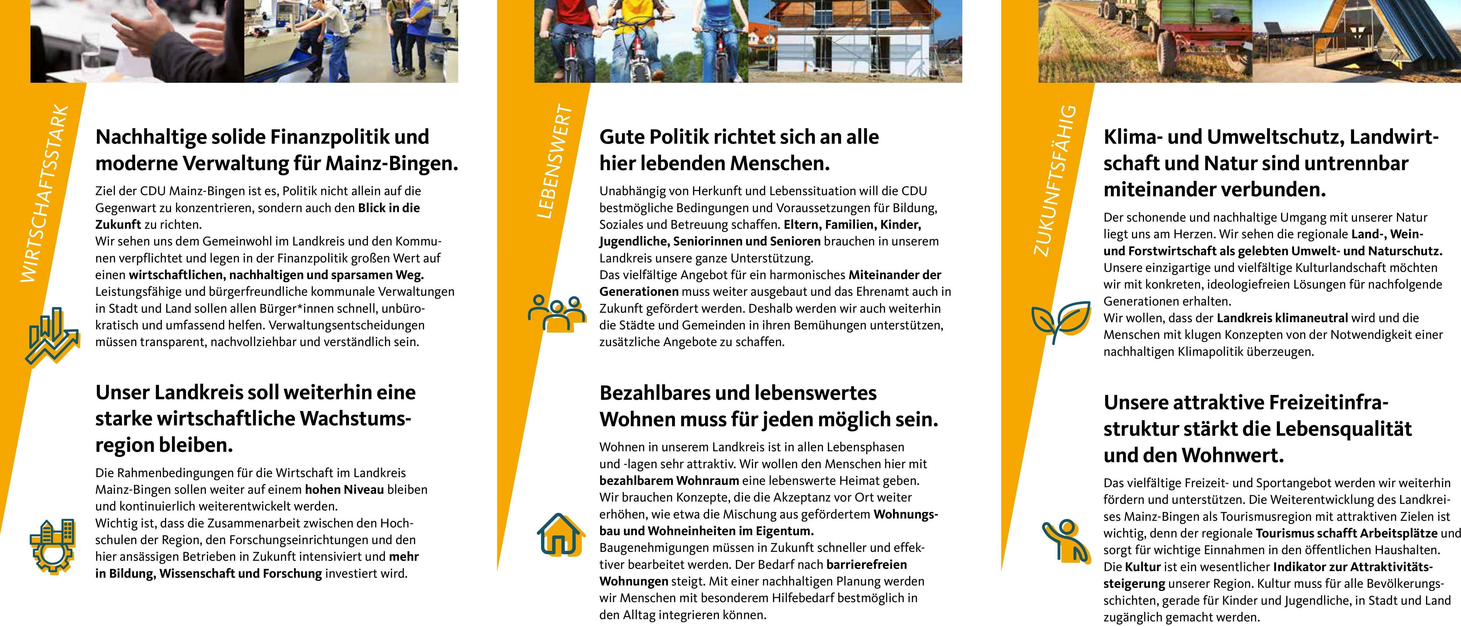 Unsere Themen für den Kreis Mainz-Bingen