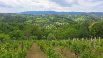 Kuća za prodaju u Zagreb, Dubrava fotografija 4