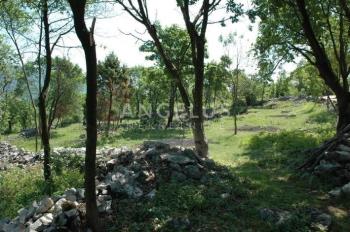 Land zu verkaufen in Istarska županija, Boljevići foto 1