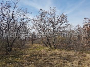 Land zu verkaufen in Istarska županija, Vinež foto 1