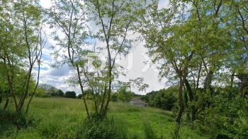 Land zu verkaufen in Istarska županija, Žminj foto 1