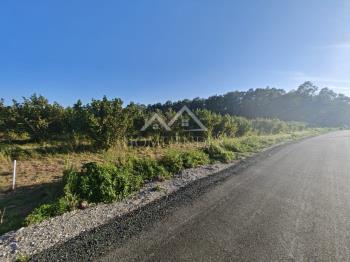 Land zu verkaufen in Zagrebačka županija, Črnec Dugoselski foto 4