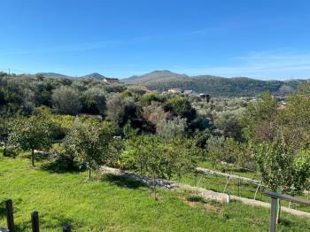 Haus zu verkaufen in Ulcinj Municipality, Ulcinj foto 4