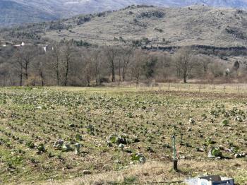 Parcela en venta en Danilovgrad foto 2