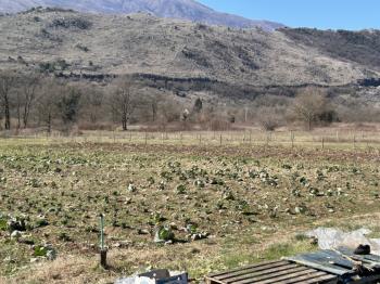 Parcela en venta en Danilovgrad foto 3