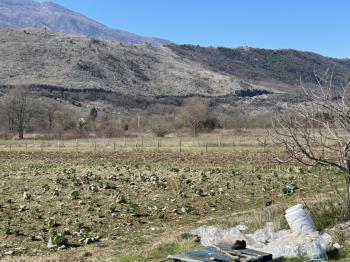Parcela en venta en Danilovgrad foto 4