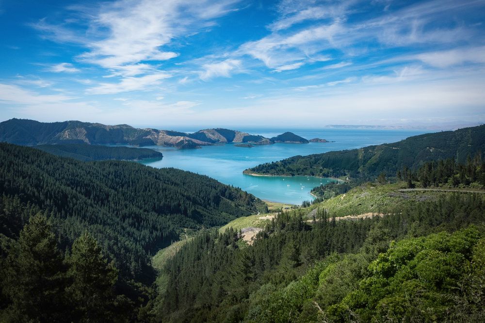 Leje af autocampere i Picton