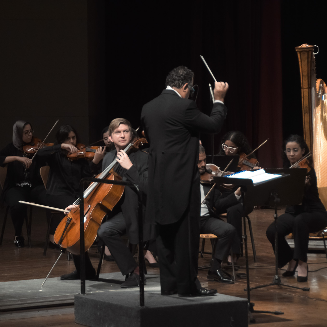 عام الموسيقى التشيكية: Tomáš Jamník نجم افتتاح الموسم في الإسكندرية