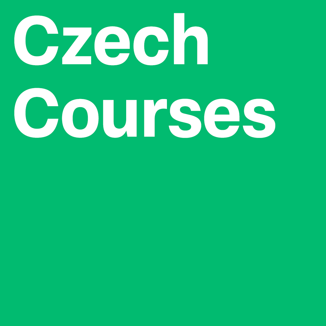 Kurzy českého jazyka