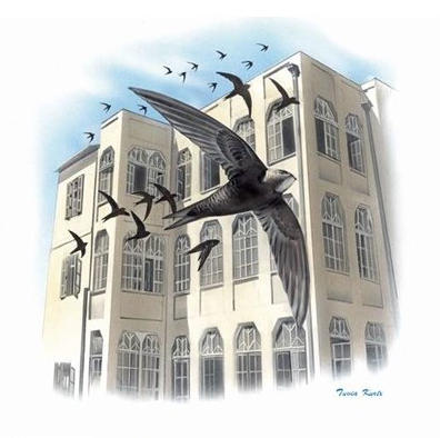 Lukáš Viktora at the Fifth International Swift Conference in Tel Aviv