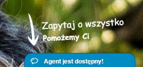 Screenshot 2017-01-24 19-30-11.jpg