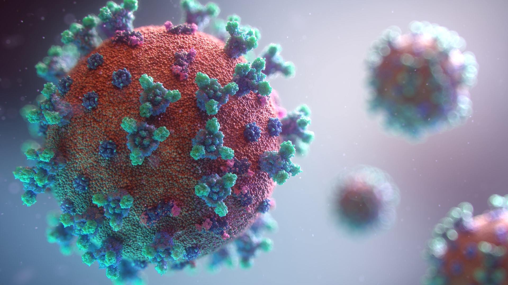 Fusion medical animation rnr8 D3 FNUNY unsplash 1
