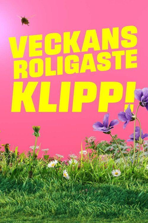 profile image Streama Veckans roligaste klipp EP.8 (Avsnitt 8) med svenska undertexter