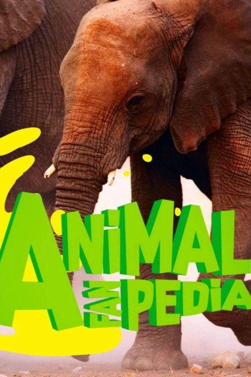 profile image مشاهدة مسلسل EP.1 (الحلقة 1) Animal Fanpedia مترجم اون لاين