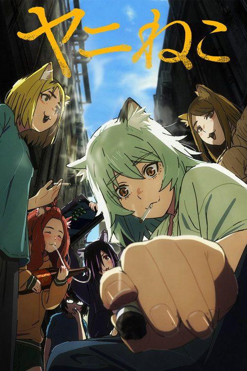 profile image Ver serie Chainsmoker Cat EP.7-9 (Episodio 7-9) online español