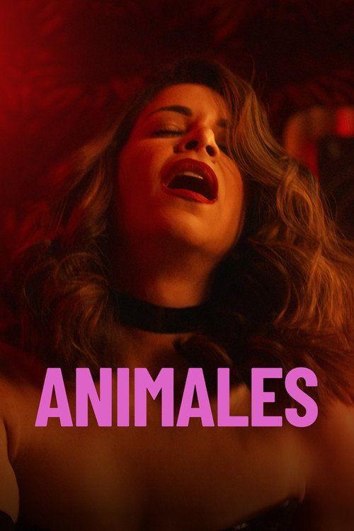 profile image 《Animals 2026》 | شاهد فيلم Animales 2026 مترجم اون لاين