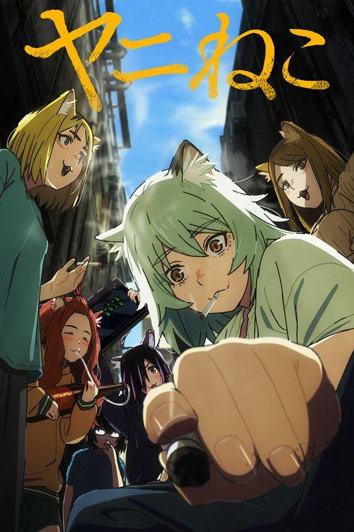 profile image Guarda Chainsmoker Cat EP.7-9 (Episodio 7-9) sub ita online