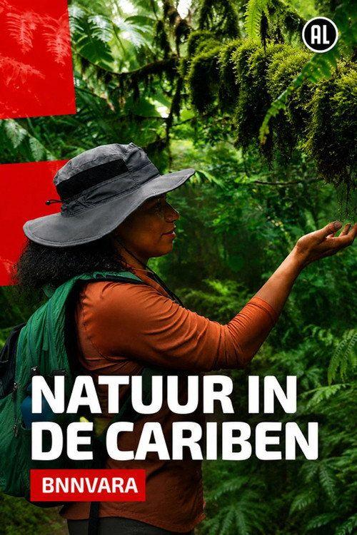 profile image Bekijk Natuur in de Cariben EP.6 (Aflevering 6) nederlandse ondertiteling