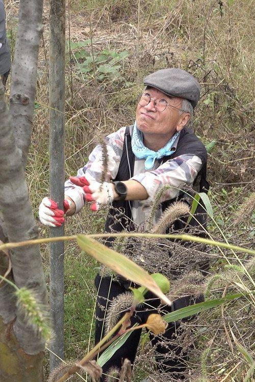 profile image 영화 대마밭의 목사님 2026 한국어 자막으로 보기