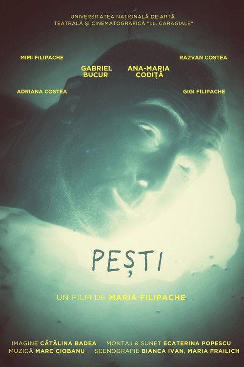 profile image Vizionează Film Pești 2026 Online Subtitrat