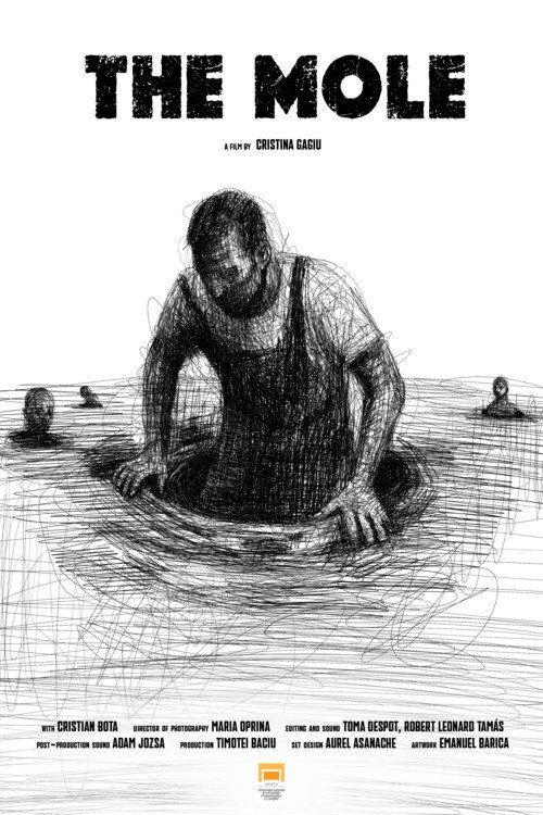 profile image Vizionează Film Cârtița 【2026】 Online Subtitrat