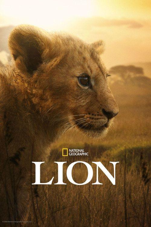 profile image 스트리밍 라이온: 초원의 왕국 EP.2-4 (에피소드 2-4) 무료 자막 | 《Lion 2026》
