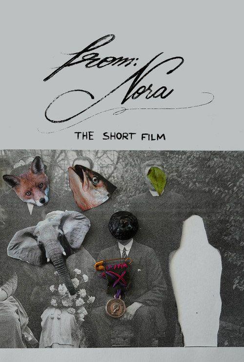 profile image Vizionează Film From: Nora 2024 Online Subtitrat