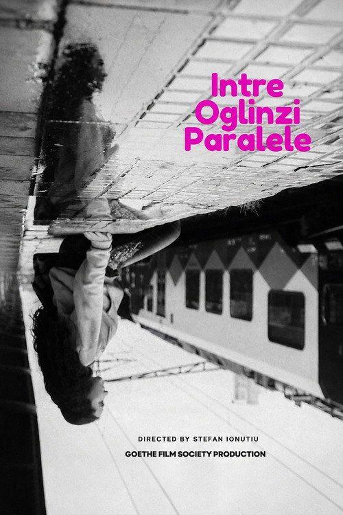 profile image Vizionează Film Intre Oglinzi Paralele 《2026》 Online Subtitrat